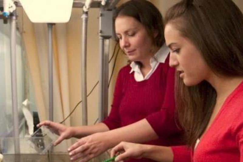 Two women conducting research