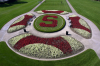 Stanford Oval flowers